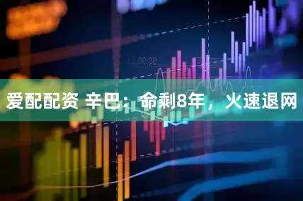 爱配配资 辛巴：命剩8年，火速退网